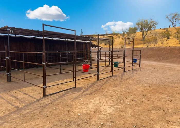 Luxury Horse Estate With Full Views *